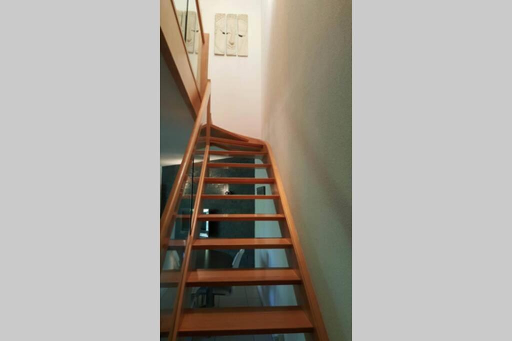 Superbe Duplex Au Nouveau Bassin Avec Vue Superbe Mulhouse Eksteriør billede