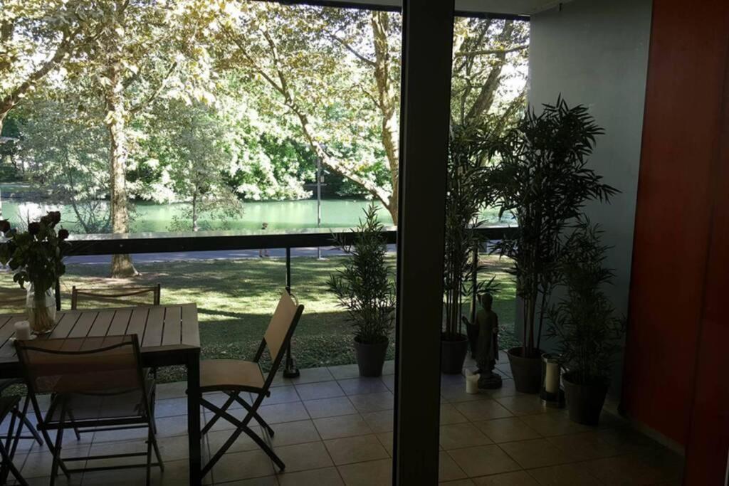 Superbe Duplex Au Nouveau Bassin Avec Vue Superbe Mulhouse Eksteriør billede